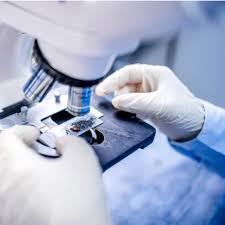 ΜΙΚΡΟΒΙΟΛΟΓΟΣ ΒΙΟΠΑΘΟΛΟΓΟΣ ΚΑΣΤΟΡΙΑ ΜΠΑΛΑΤΣΟΥΚΑ ΣΤΕΡΓΙΑΝΗ